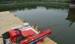 日本钓鱼视频在线观看,在线观看，体验海洋魅力